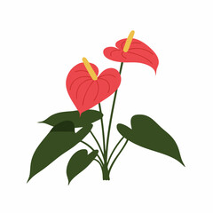 Vibrant Red Anthurium Plant with Lush Green Foliage