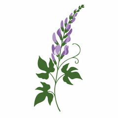 Fototapeta premium Elegant Purple Flower Stem with Green Leaves and Curving Vine