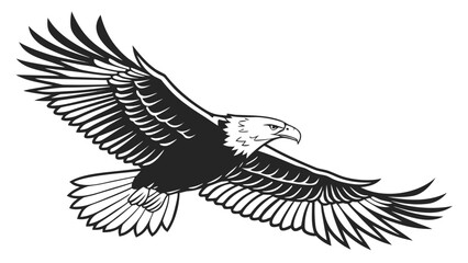 Obraz premium eagle vector illustration