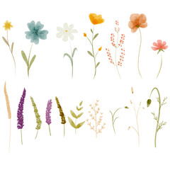 Watercolor Floral Set with Soft Colored Flower and Green Leaves for Wedding Design