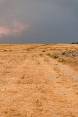 Hay bales scattered across a dry field under a dramatic sky before a storm. The golden landscape and moody atmosphere. Country road among golden field with bales of hay. 