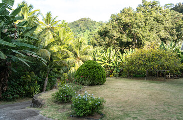 Fototapeta premium Landscape design in the tropics. Seychelles hotel grounds with manicured lawn, palm trees