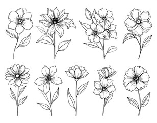 Set of nine black line art floral illustrations