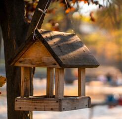 A wooden birdhouse on a tree in the aurumn park closeup.
