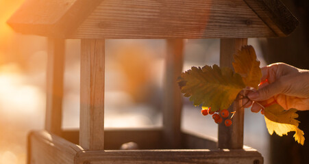 A wooden birdhouse on a tree in the aurumn park closeup.