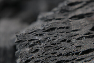 detail texture of wood charcoal