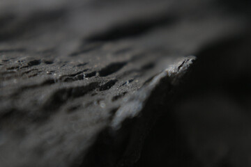 detail texture of wood charcoal