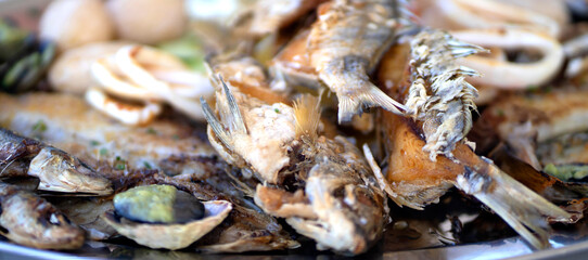 A grilled fish mix plate with various types of fish, seafood, scallops and squid rings.