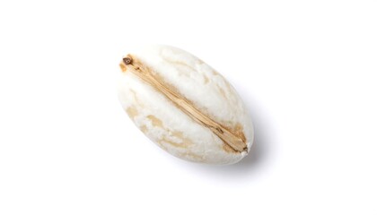 Single grain of pale, white seed