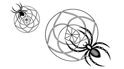Fototapeta premium spider and web