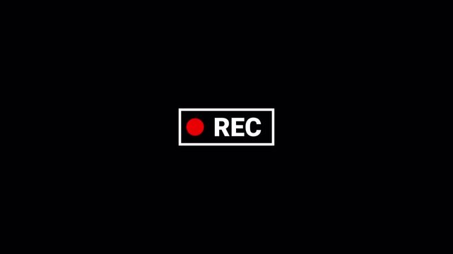 Animation of recording button with transparent background, 4k simple recording icon animatione with alpha channel.	 