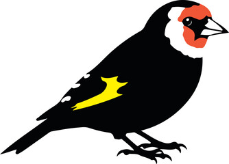 goldfinch bird isolated on white background small colorful songbird for wildlife and nature illustration