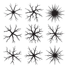 Obraz premium Black abstract branching patterns white