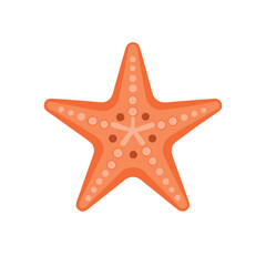 Flat Starfish Vector Isolated icon on White Background | Beach Starfish
