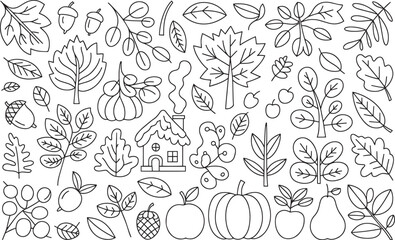 Autumn Nature Elements and Cottage Coloring Page Hand Drawn Fall Season Vector Illustration for Kids and Adults, Autumn Elements, Fall Coloring Page, Harvest Clipart, thanksgiving 