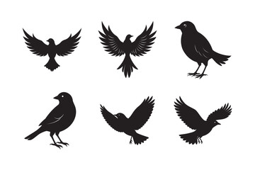 silhouette bird flying with wings spread set bundle on the white background