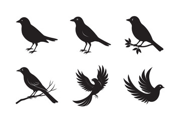 silhouette bird flying with wings spread set bundle on the white background