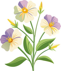 Fototapeta premium Evening Primrose flowers