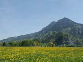 Large mountain range is visible in the distance, with a clear blue sky above