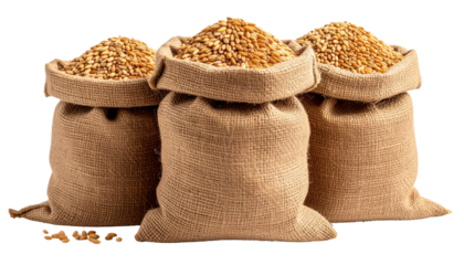 Stack of burlap sacks filled with grain isolated on solid white background Png