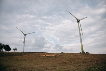 wind turbines in the field