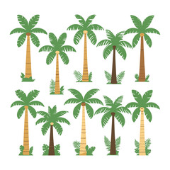 Realistic Coconut Palm Tree Vector with Detailed Leaves on white background.