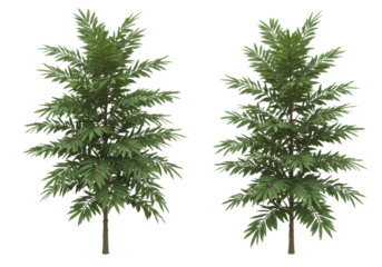 Two lush green trees standing side by side in a vibrant natural setting