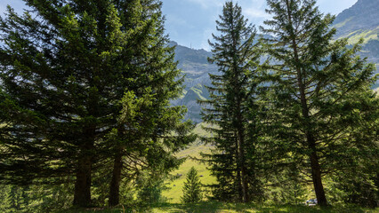 A beautiful panorama in switzerland in Krummenau in Switzerland on july 20th 2025