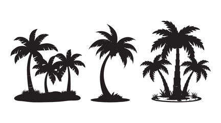 Tropical Palm Tree Silhouette Vector Isolated on White background