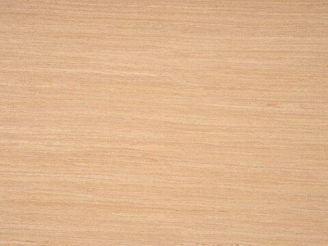 Subtle gradients of beige and cream flow over the smooth surface of this natural birch wood veneer