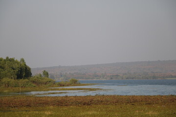 Naklejka premium Landscape of countryside field beside a lake with blue sky