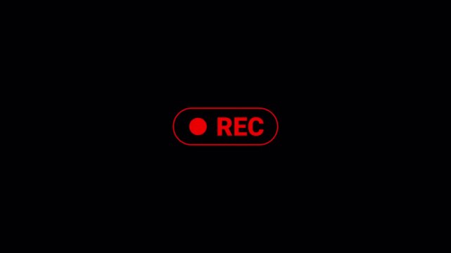 Animation of recording button with transparent background, 4k simple recording icon animatione with alpha channel.	 