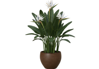 Lush indoor plant with striking white flowers in a modern pot, enhancing home decor