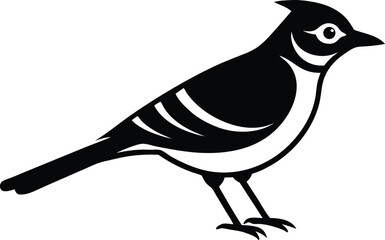 blue jay bird silhouette vector.