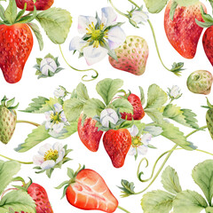 Strawberry berries growing with leaves tendrils flowers hand drawn in watercolor, ripe forest garden harvest. Isolated seamless pattern. Grocery packaging textile fabrics, farmers market, cosmetics