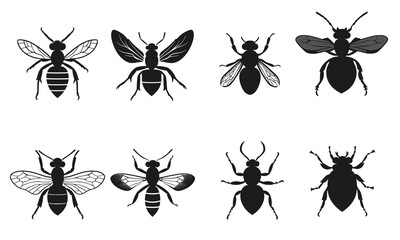 Exploring bee species diversity natural habitat illustration entomology art top-down view insect taxonomy isolated on white background and transparent background