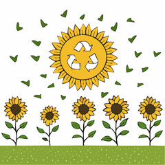 Sunflower field follows recycling sun above grass patch during daytime