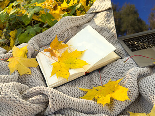 Autumn Book with Yellow Fallen Autumn Leaves Background. World Book Day. Autumn Background.
