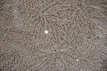 Background pattern design on sand background from wave with shell of shellfish and crab hole on floor ground at Phetburi Beach in sea ocean in Phetchaburi, Thailand