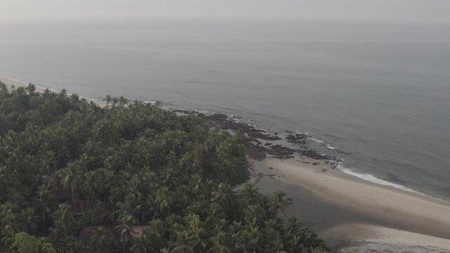 Aerial View of Goa Beach with Coconut Trees, Crashing Waves and Coastline
