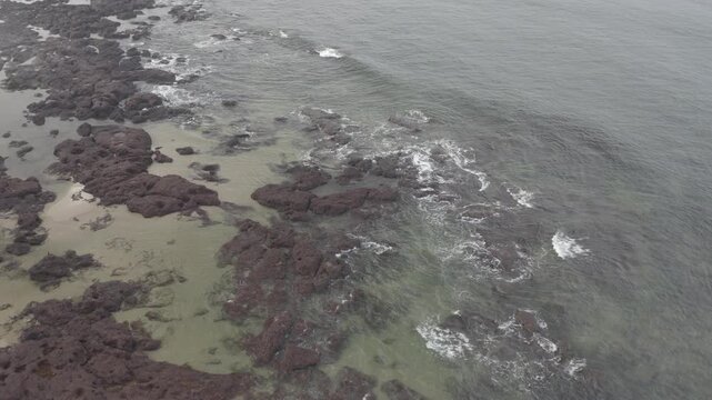 Aerial View of Goa Beach with Coconut Trees, Crashing Waves and Coastline