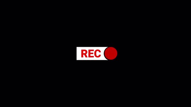 Animation of recording button with transparent background, 4k simple recording icon animatione with alpha channel.	 