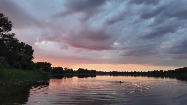 very beautiful sunset with water. summer evening landscape with reflection of clouds in water. setting sun on horizon. summer landscape with lake. reflection of trees in water. sunrise on river