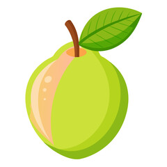 vector illustration of a guava
