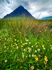 Buachaille Etive Mor - Glen Coe Valley - Highlands - Scotland