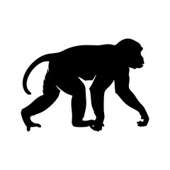 Obraz premium Black Monkey Silhouette Vector Walking Quadrupedal - Terrestrial Primate Animal Icon