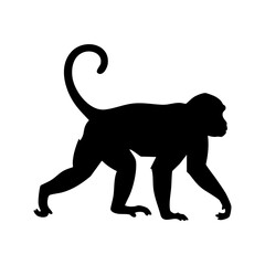 Obraz premium Black Monkey Silhouette Vector Walking Quadrupedal - Terrestrial Primate Animal Icon