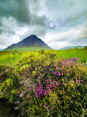 Buachaille Etive Mor - Glen Coe Valley - Highlands - Scotland