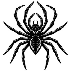 spider on a white background