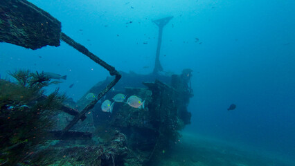 Remains of a sunken ship underwater. View of the destroyed remains of a ship on the seabed. The hull of a sunken ship with a mast.